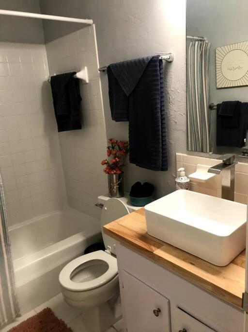 Cheerful 3 Bedroom 2Ba Home In Great Neighborhood! Jacksonville Buitenkant foto